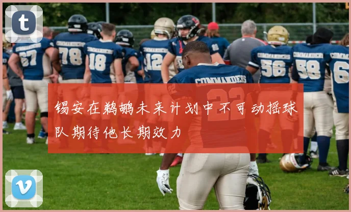 锡安在鹈鹕未来计划中不可动摇球队期待他长期效力