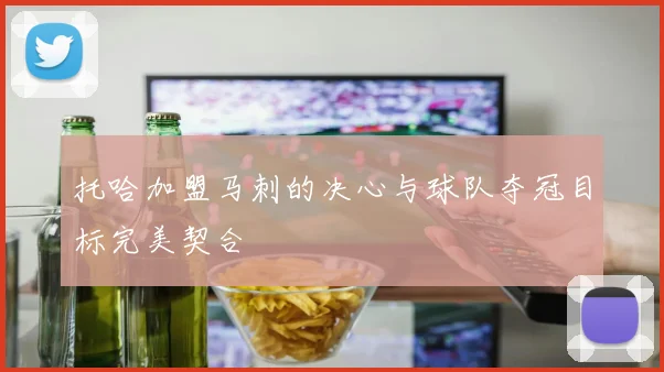 托哈加盟马刺的决心与球队夺冠目标完美契合