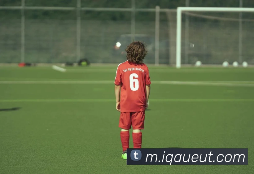 奖项证书